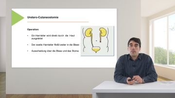 Das Urostoma