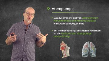 Sekretmanagement