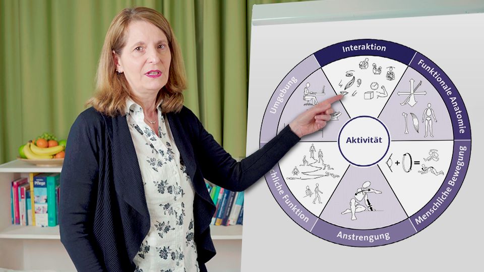 Vorschaubild zum Kurs: Einführung in die Kinästhetik