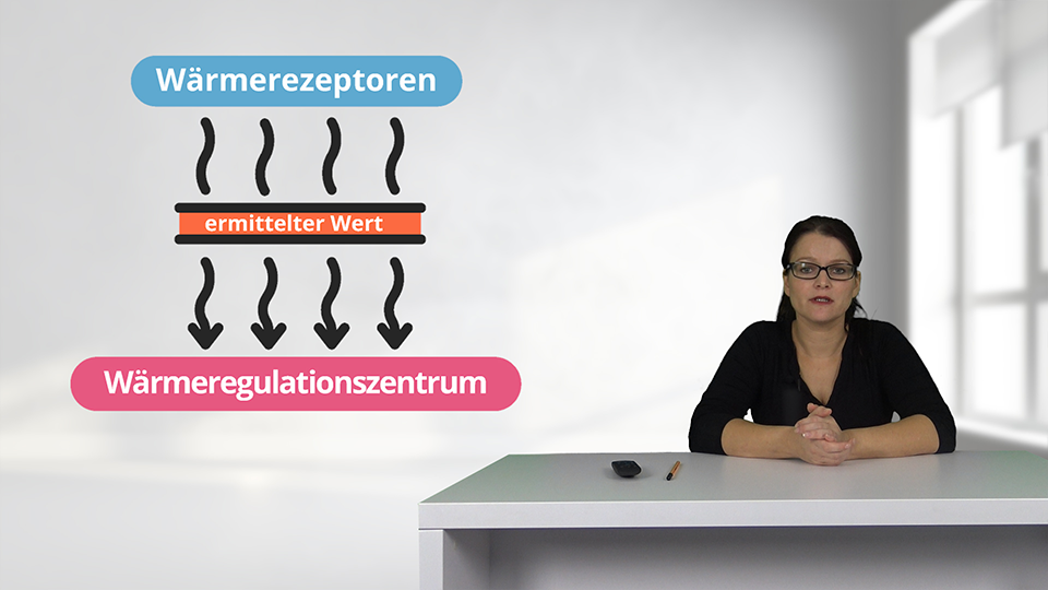 Vorschaubild zum Kurs: Temperatur richtig messen